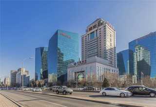 宝安区水上无土栽培有哪些