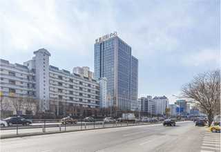 天津花生秧草粉草料